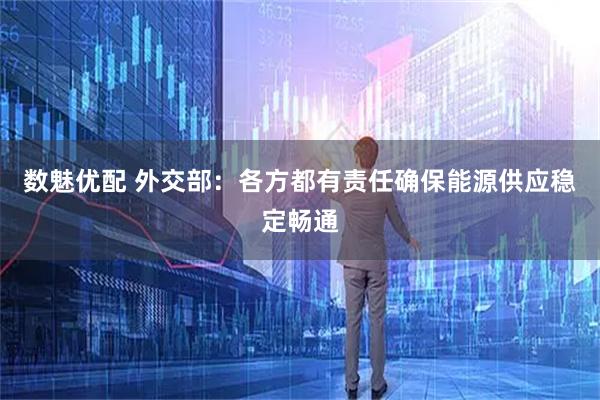 数魅优配 外交部：各方都有责任确保能源供应稳定畅通