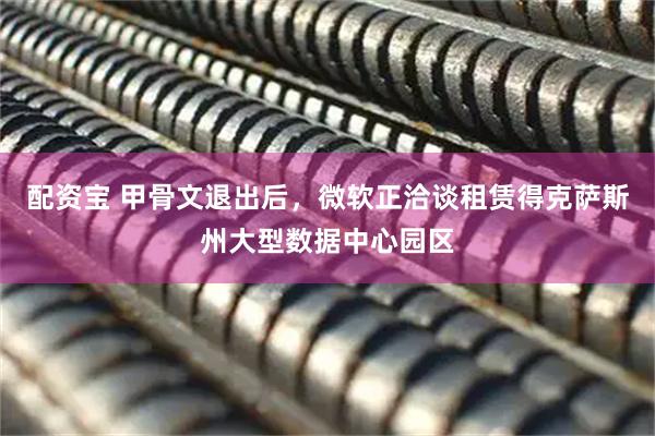 配资宝 甲骨文退出后，微软正洽谈租赁得克萨斯州大型数据中心园区