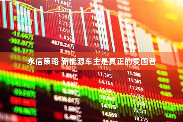 永信策略 新能源车主是真正的爱国者