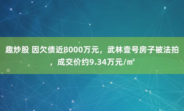 趣炒股 因欠债近8000万元，武林壹号房子被法拍，成交价约9.34万元/㎡