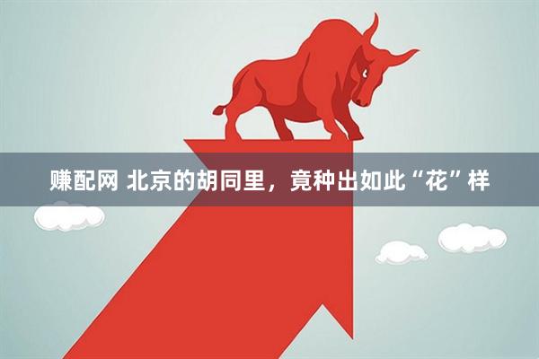 赚配网 北京的胡同里，竟种出如此“花”样