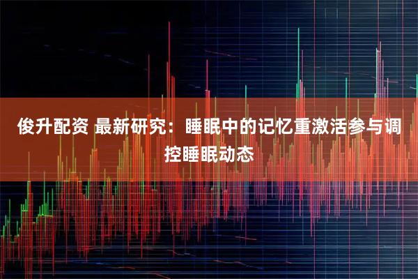 俊升配资 最新研究：睡眠中的记忆重激活参与调控睡眠动态