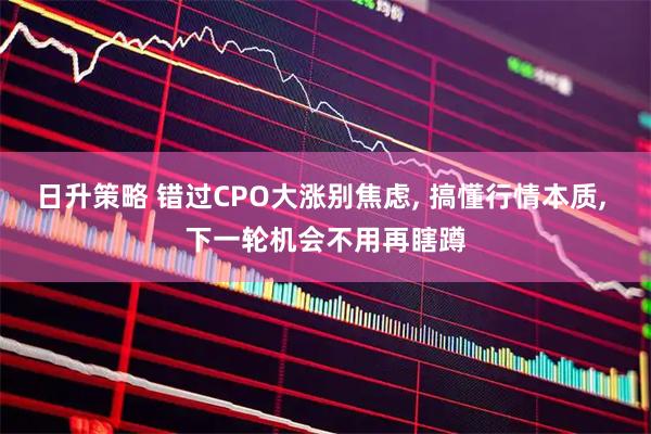 日升策略 错过CPO大涨别焦虑, 搞懂行情本质, 下一轮机会不用再瞎蹲