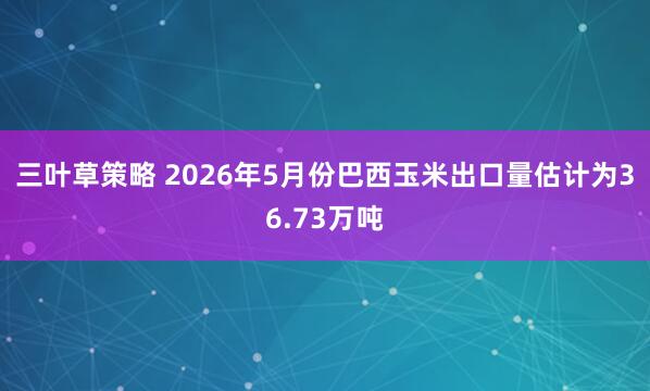 三叶草策略 2026年5月份巴西玉米出口量估计为36.73万吨