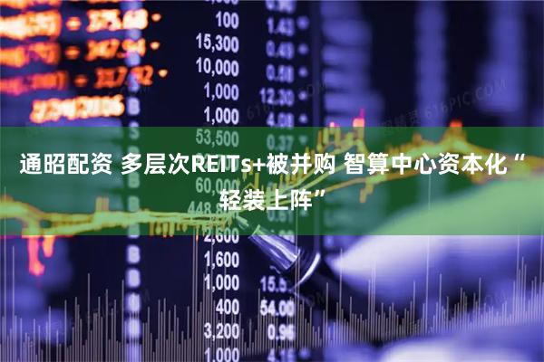 通昭配资 多层次REITs+被并购 智算中心资本化“轻装上阵”