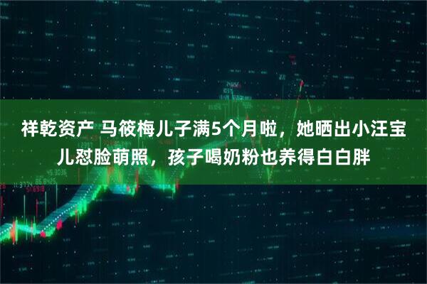 祥乾资产 马筱梅儿子满5个月啦,她晒出小汪宝儿怼脸萌照,孩子喝奶粉也养得白白胖