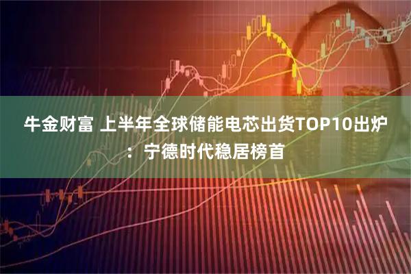 牛金财富 上半年全球储能电芯出货TOP10出炉：宁德时代稳居榜首